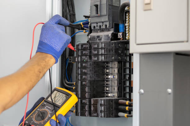 Best Electrical Panel Upgrades  in Thonotosassa, FL