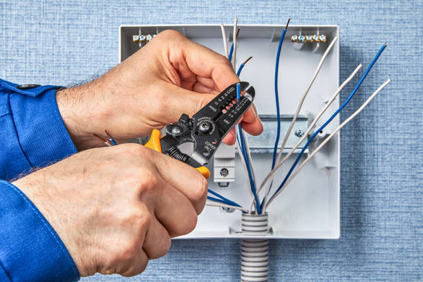 Best Electrical Troubleshooting and Repair  in Thonotosassa, FL